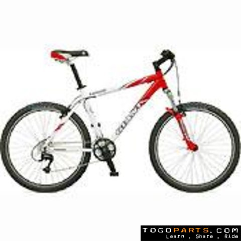 Giant sales iguana bicycle