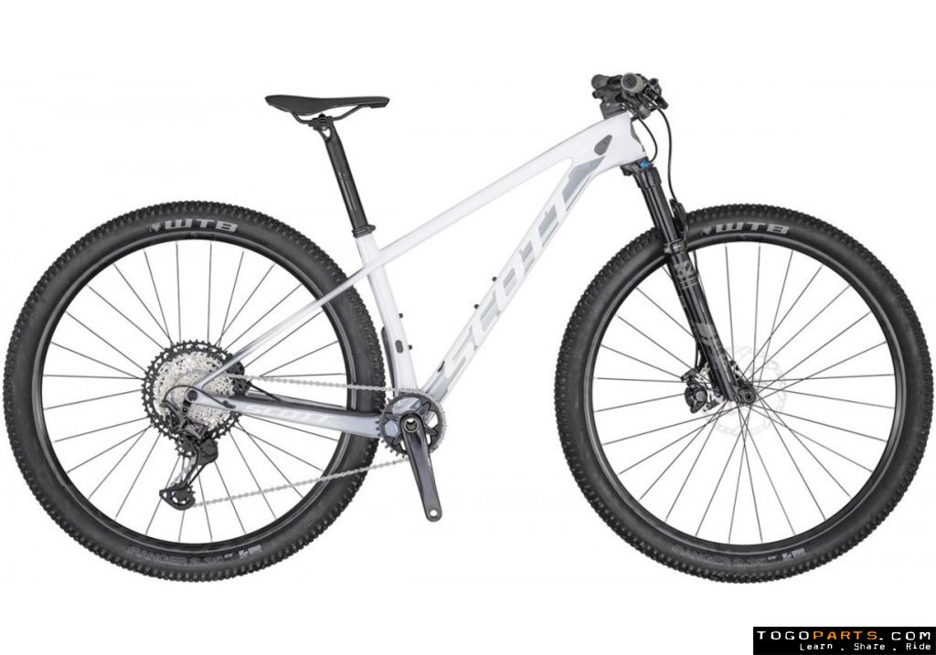 scott contessa scale 10 2019