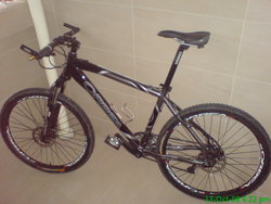 Orbea Satellite | Togoparts Rides