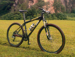 Scott Scale 10 | Togoparts Rides