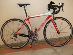 TREK | Togoparts Rides
