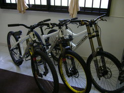 My Ex | Togoparts Rides