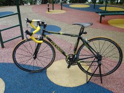 Colnago Titanio CT-1 B-Stay (2003) - 00F paint scheme | Togoparts Rides