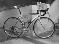Polygon Helios 300 (2010) | Togoparts Rides