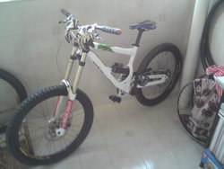 White | Togoparts Rides