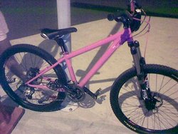 Specialized Stumpjumper Pink | Togoparts Rides