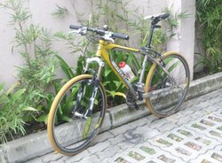 Street Bike from Scott | Togoparts Rides