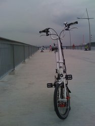 Flamingo FL-BP01-7 2009 | Togoparts Rides