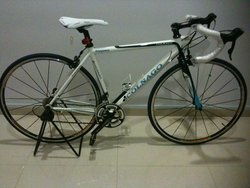 Colnago Primavera 2008 | Togoparts Rides