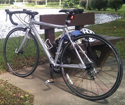 2010 Raleigh Grand Sport | Togoparts Rides