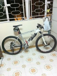 Wheeler Pro 1900 (2010) | Togoparts Rides
