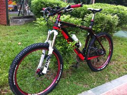 2011 On-One 456 Carbon | Togoparts Rides