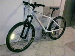 Polygon white Cozmic 1,0 | Togoparts Rides