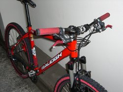 Raleigh team issue | Togoparts Rides