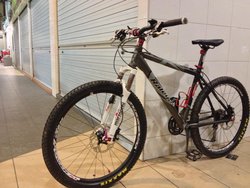 Raleigh Namib | Togoparts Rides