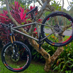 Custom TI | Togoparts Rides