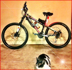 my bike ;) | Togoparts Rides