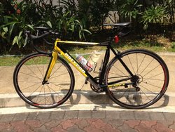 Polygon Helios 560 | Togoparts Rides