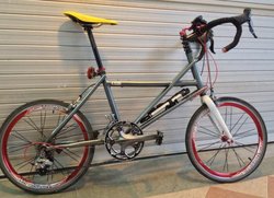 R.owl Custom Mini Velo | Togoparts Rides