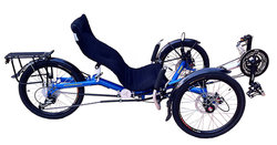 Blue Terrier | Togoparts Rides