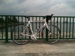 Cannondale Synapse Road | Togoparts Rides
