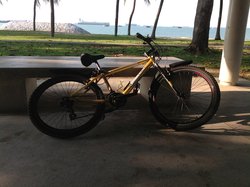 Raleigh M20 | Togoparts Rides