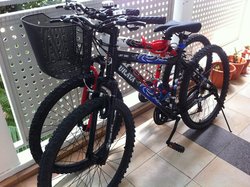 URATA URT280 Mountain Bikes | Togoparts Rides
