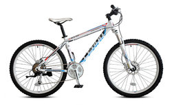 Lerun Evo 30 2013 Series | Togoparts Rides