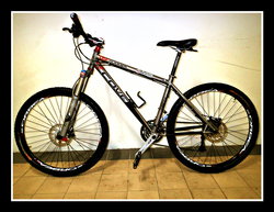 Cove Hummer Titanium MTB | Togoparts Rides