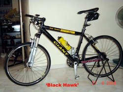 XTC 04 (BlackHawk) | Togoparts Rides