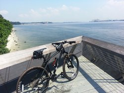 GT Avalanche 1.0 2013 | Togoparts Rides