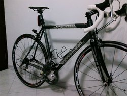 CAAD 8 | Togoparts Rides