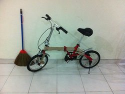 Foldable Bicycle | Togoparts Rides