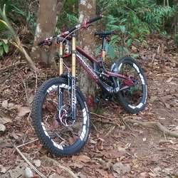 SANTA CRIUZ V10 2014 CARBON | Togoparts Rides