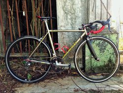 Eddy Merckx Titanium | Togoparts Rides