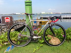 Eddy Merckx Titanium | Togoparts Rides
