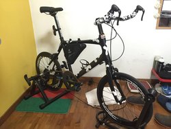 Custom Carbon Cow | Togoparts Rides