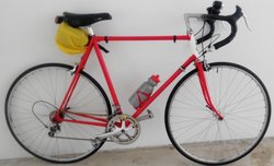Raleigh Professional Mark V ( 1976 - 1981 ) | Togoparts Rides
