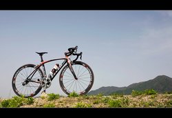 Cello Elliot | Togoparts Rides