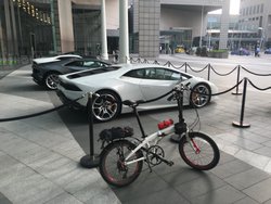 å°ç™½ | Togoparts Rides