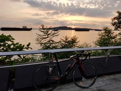 Giant TCR | Togoparts Rides