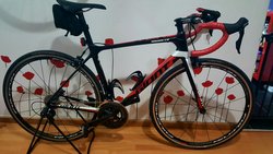 Black&Red | Togoparts Rides