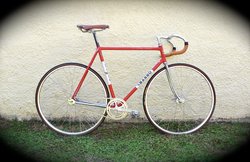 Classic Basso Fixie | Togoparts Rides