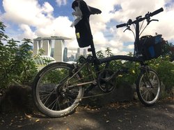 Nog-Nog | Togoparts Rides