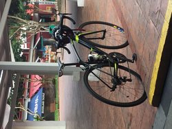 Awesome companion | Togoparts Rides