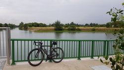 Pinarello Gan RS | Togoparts Rides