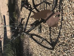 Trek | Togoparts Rides