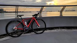 Canyon Endurace CF SL Disc 8.0 | Togoparts Rides