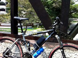 Zen1 | Togoparts Rides