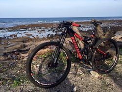 Niner WFO9 | Togoparts Rides